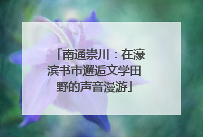 南通崇川：在濠滨书市邂逅文学田野的声音漫游