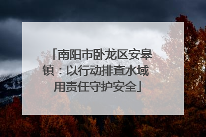 南阳市卧龙区安皋镇：以行动排查水域 用责任守护安全