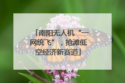 南阳无人机“一网统飞”，抢滩低空经济新赛道