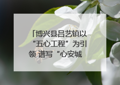 博兴县吕艺镇以“五心工程”为引领 谱写“心安城市”建设新篇章