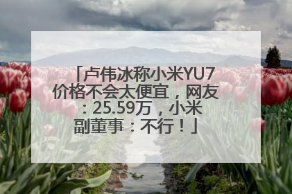卢伟冰称小米YU7价格不会太便宜，网友：25.59万，小米副董事：不行！