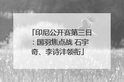 印尼公开赛第三日：国羽焦点战 石宇奇、李诗沣领衔