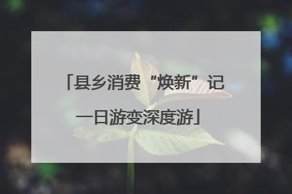 县乡消费“焕新”记 一日游变深度游