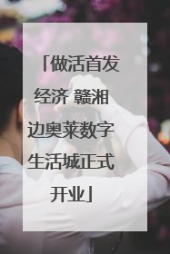 做活首发经济 赣湘边奥莱数字生活城正式开业