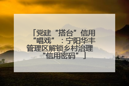 党建“搭台”信用“唱戏”：宁阳华丰管理区解锁乡村治理“信用密码”
