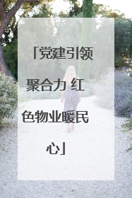 党建引领聚合力 红色物业暖民心