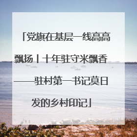党旗在基层一线高高飘扬丨十年驻守米飘香——驻村第一书记莫日发的乡村印记