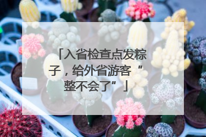 入省检查点发粽子，给外省游客“整不会了”
