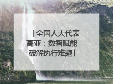 全国人大代表高亚：数智赋能破解执行难题