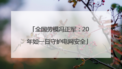 全国劳模冯正军：20年如一日守护电网安全