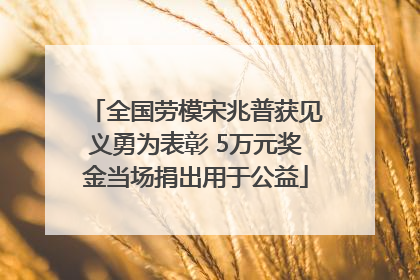 全国劳模宋兆普获见义勇为表彰 5万元奖金当场捐出用于公益