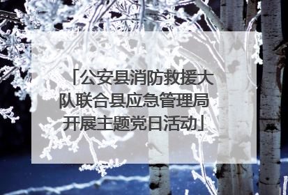 公安县消防救援大队联合县应急管理局开展主题党日活动