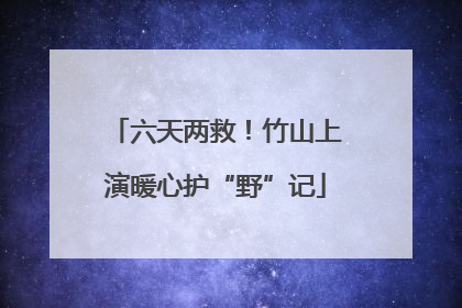 六天两救！竹山上演暖心护“野”记