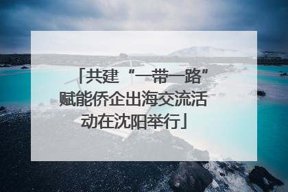 共建“一带一路”赋能侨企出海交流活动在沈阳举行