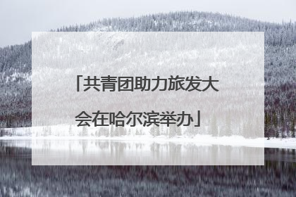 共青团助力旅发大会在哈尔滨举办