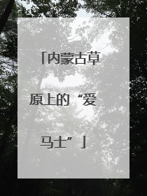 内蒙古草原上的“爱马士”