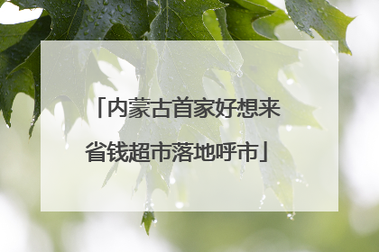内蒙古首家好想来省钱超市落地呼市