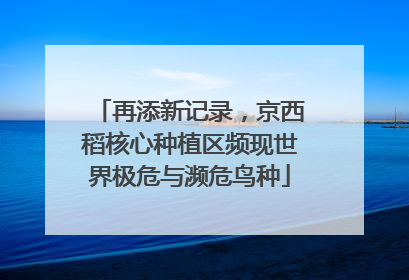 再添新记录，京西稻核心种植区频现世界极危与濒危鸟种