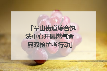 军山街道综合执法中心开展燃气食品双检护考行动