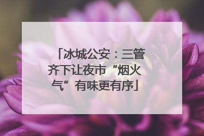 冰城公安：三管齐下让夜市“烟火气”有味更有序
