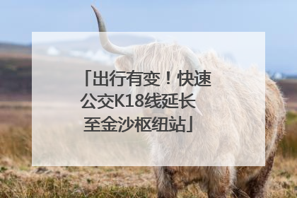 出行有变！快速公交K18线延长至金沙枢纽站