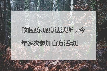 刘强东现身达沃斯，今年多次参加官方活动