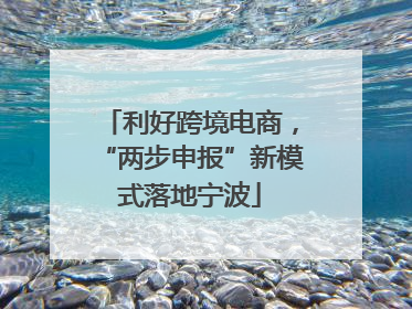 利好跨境电商，“两步申报”新模式落地宁波