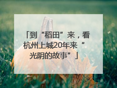 到“稻田”来，看杭州上城20年来“光阴的故事”