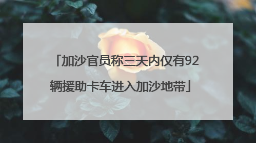 加沙官员称三天内仅有92辆援助卡车进入加沙地带
