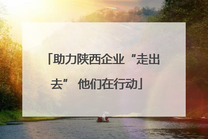 助力陕西企业“走出去” 他们在行动