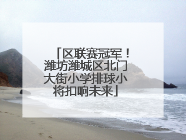 区联赛冠军！潍坊潍城区北门大街小学排球小将扣响未来