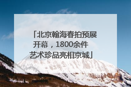 北京翰海春拍预展开幕，1800余件艺术珍品亮相京城