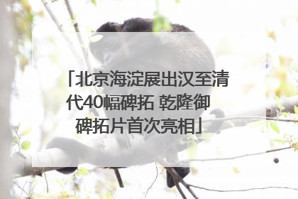 北京海淀展出汉至清代40幅碑拓 乾隆御碑拓片首次亮相