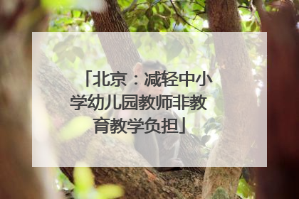 北京：减轻中小学幼儿园教师非教育教学负担