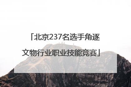 北京237名选手角逐文物行业职业技能竞赛