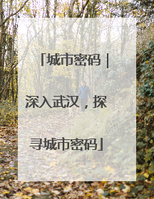 城市密码｜深入武汉，探寻城市密码