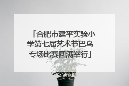 合肥市建平实验小学第七届艺术节巴乌专场比赛圆满举行