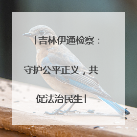 吉林伊通检察：守护公平正义，共促法治民生