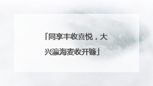 同享丰收喜悦，大兴瀛海麦收开镰