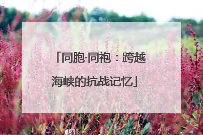 同胞·同袍：跨越海峡的抗战记忆