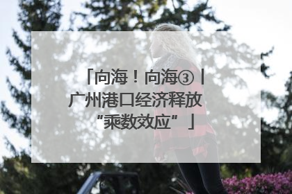 向海！向海③丨广州港口经济释放“乘数效应”