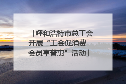 呼和浩特市总工会开展“工会促消费 会员享普惠”活动