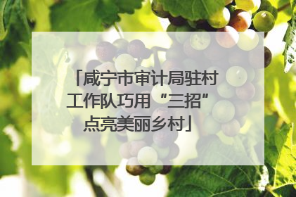 咸宁市审计局驻村工作队巧用“三招”点亮美丽乡村