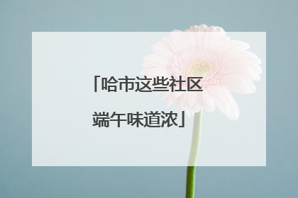哈市这些社区端午味道浓