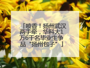 喷香！扬州武汉两手牵，华科大1万6千名毕业生争品“扬州包子”