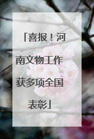 喜报！河南文物工作获多项全国表彰