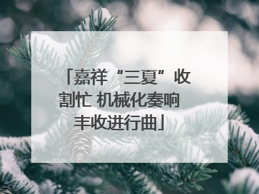 嘉祥“三夏”收割忙 机械化奏响丰收进行曲