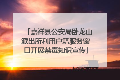 嘉祥县公安局卧龙山派出所利用户籍服务窗口开展禁毒知识宣传