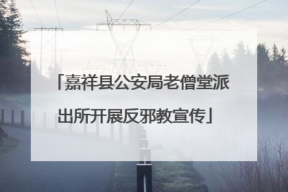 嘉祥县公安局老僧堂派出所开展反邪教宣传