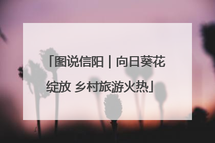 图说信阳｜向日葵花绽放 乡村旅游火热
